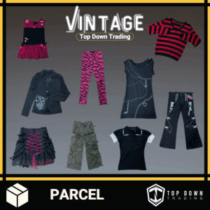 Alt Fashion Vintage Clothing Liquidation Startup Box