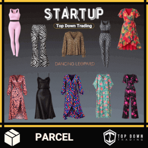 Dancing Leopard Women's Boho Fashion Startup Box