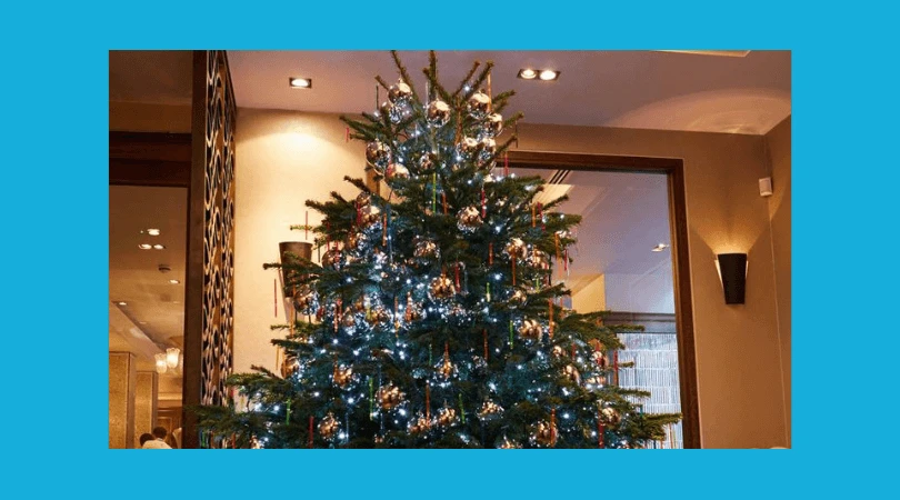 How To Give Your Christmas Tree Personality